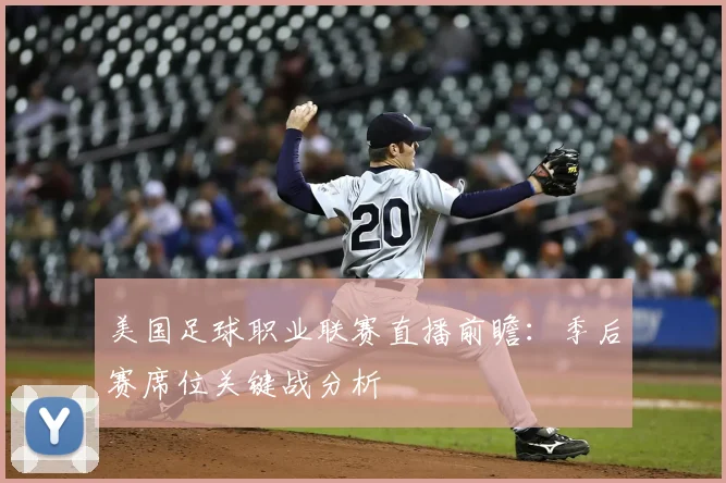 美国足球职业联赛直播前瞻：季后赛席位关键战分析